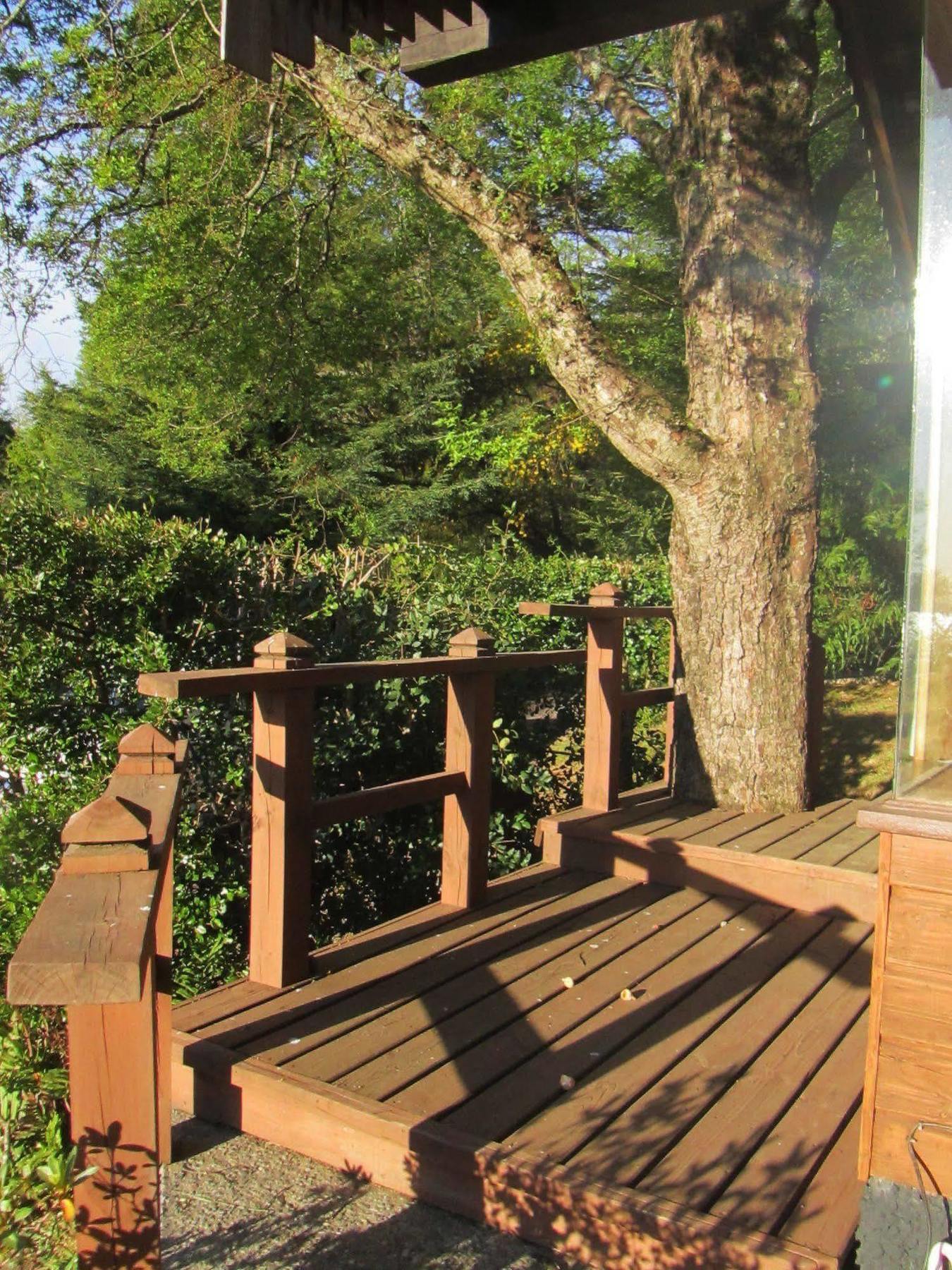 Cabanas Portal Pucón Buitenkant foto